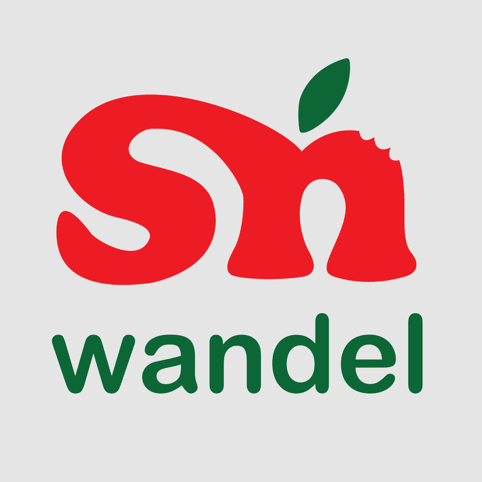 SN Wandel logo
